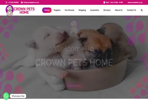 is crownpets.co.za legit? screenshot