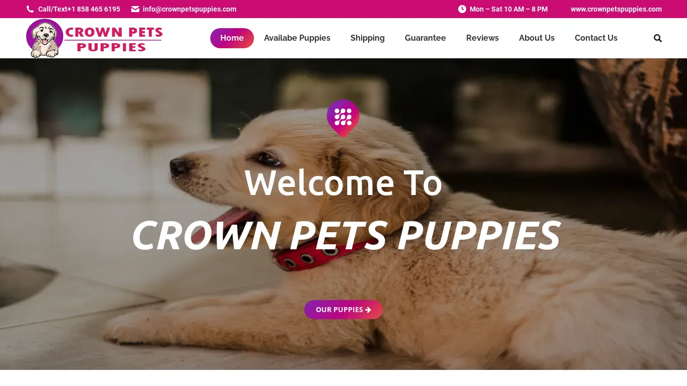 is crownpetspuppies.com legit? screenshot