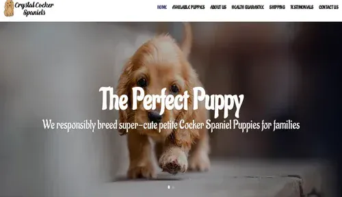 A screenshot of Genlanfamilystbernard.com