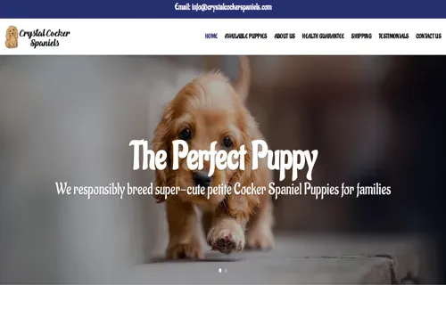 is crystalcockerspaniels.com legit? screenshot