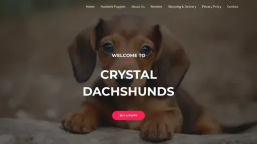 A screenshot of Crystaldachshunds.shop