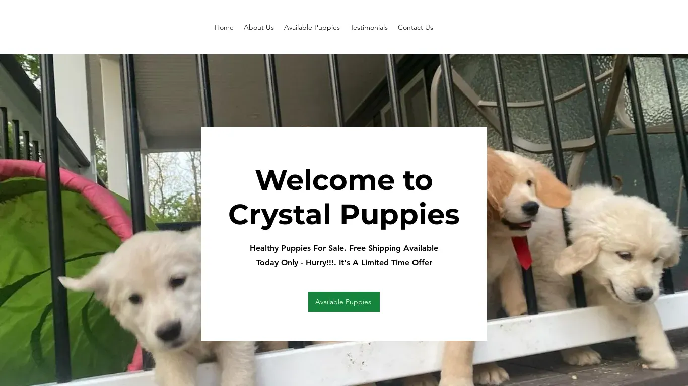 is crystalpuppie.com legit? screenshot
