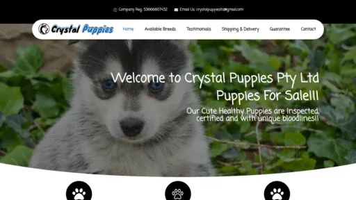 A screenshot of Crystalpuppy.com