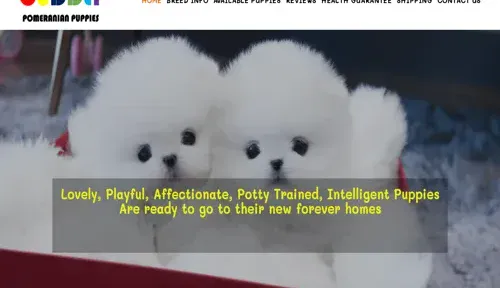 A screenshot of Genlanfamilystbernard.com