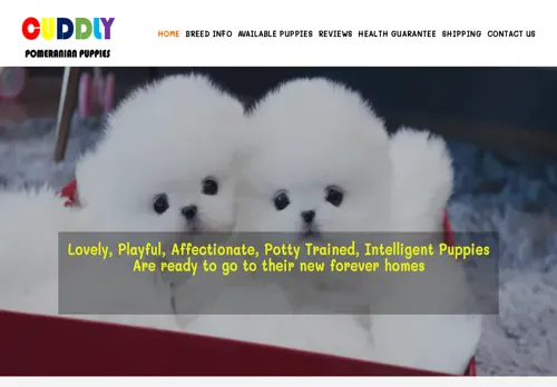 is cuddlyteacuppomeranains.com legit? screenshot