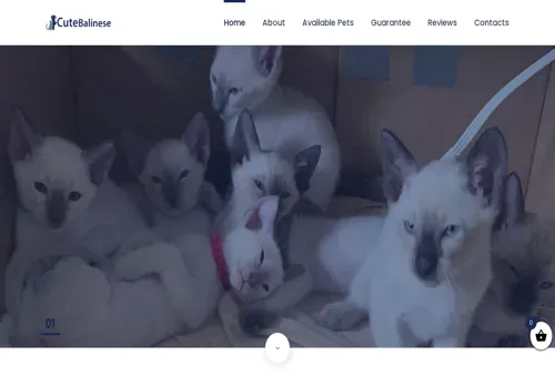 is cutebalinese.com legit? screenshot