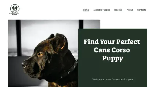 A screenshot of Cutecanecorsopuppuies.com