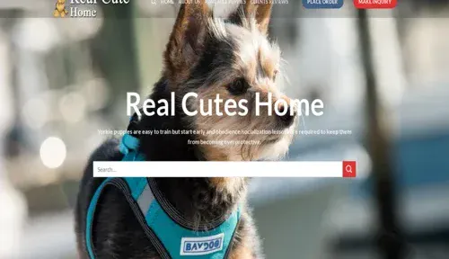 A screenshot of Genlanfamilystbernard.com