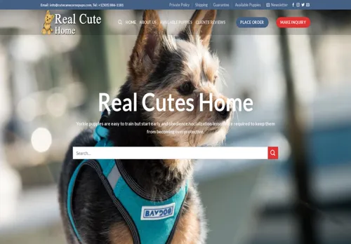 is cutecanecorsopups.com legit? screenshot