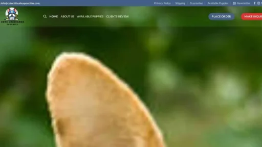 A screenshot of Genlanfamilystbernard.com