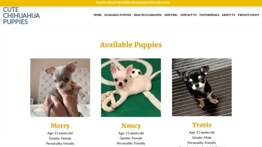 A screenshot of Cutechihuahuapuppiesforsale.com