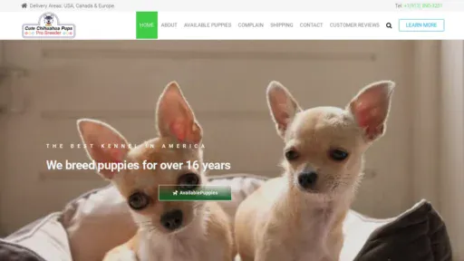 A screenshot of Cutechihuahuapupps.com