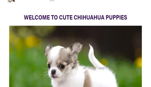 A screenshot of Genlanfamilystbernard.com
