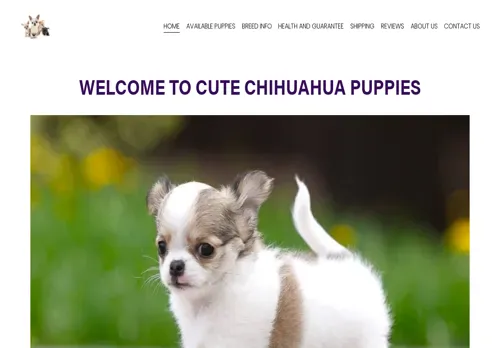 is cutechipuppies.com legit? screenshot