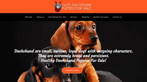 A screenshot of Cutedachshundpuppiesforsale.com