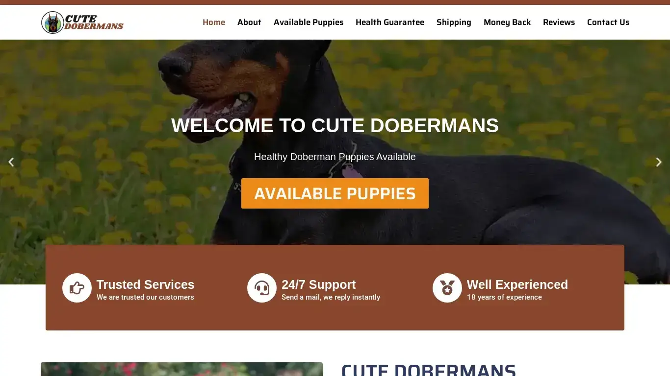 is CUTE DOBERMANS – Healthy Doberman Puppies legit? screenshot
