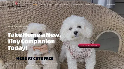 A screenshot of Cutefacemaltesepuppies.com