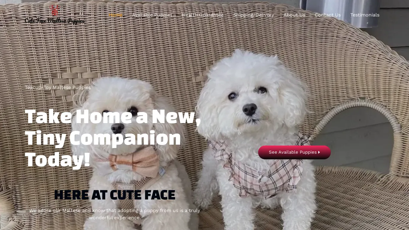 A screenshot of Cutefacemaltesepuppies.com