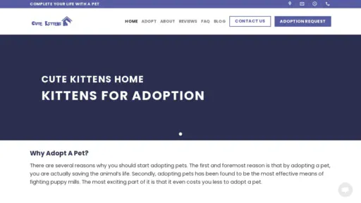 A screenshot of Cutekittenshomeusa.com