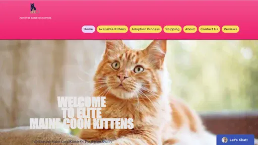A screenshot of Cutemainecoonforsale.com