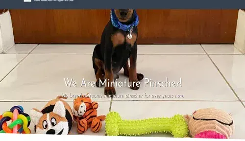A screenshot of Genlanfamilystbernard.com