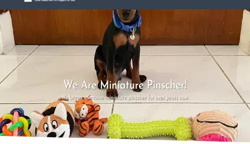 A screenshot of Genlanfamilystbernard.com