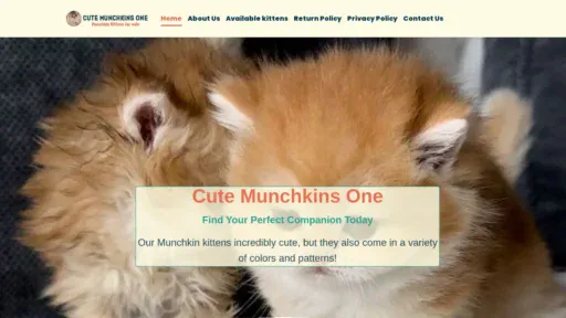 A screenshot of Cutemunchkinsone.com