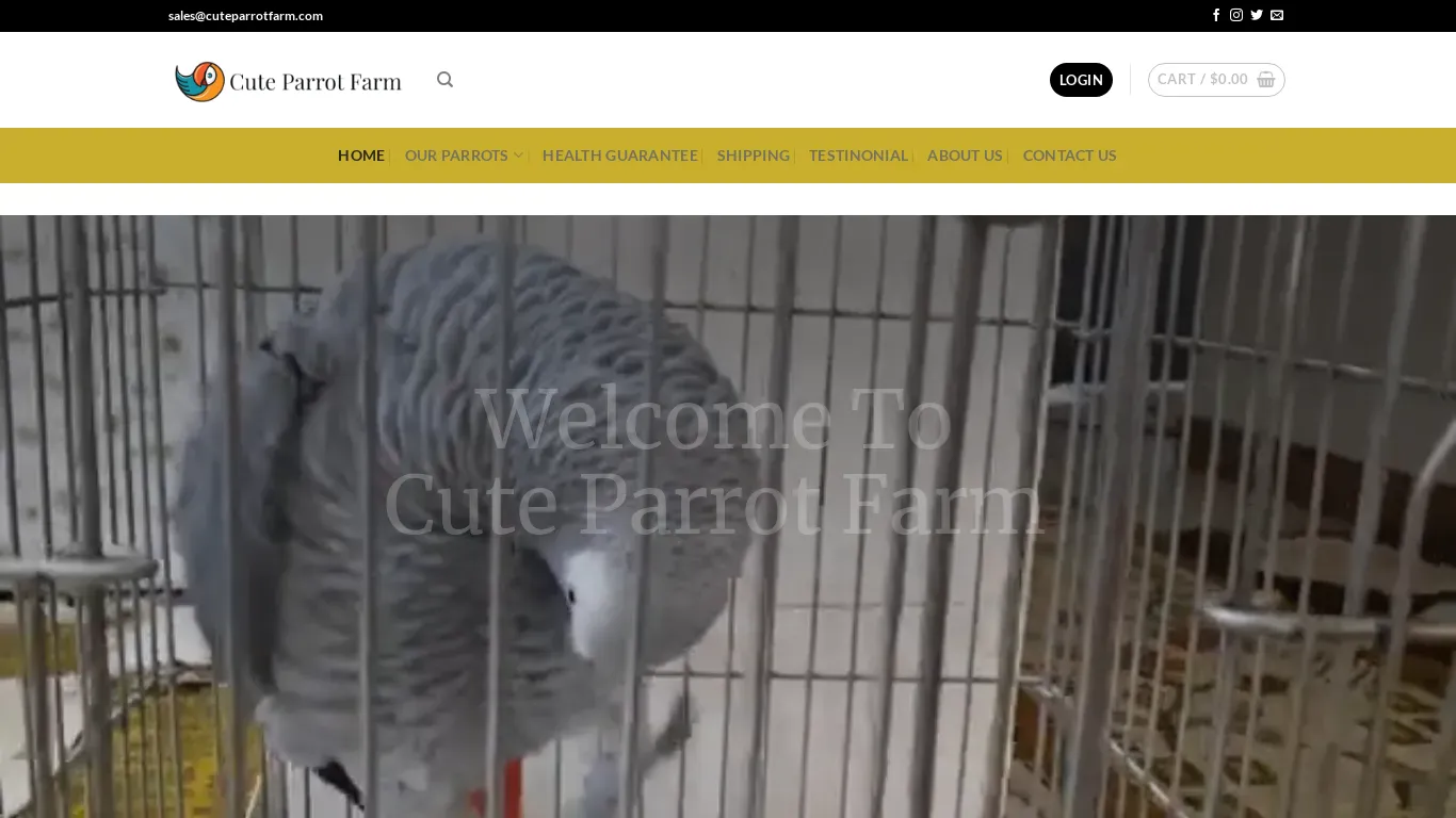 is cuteparrotfarm.com legit? screenshot