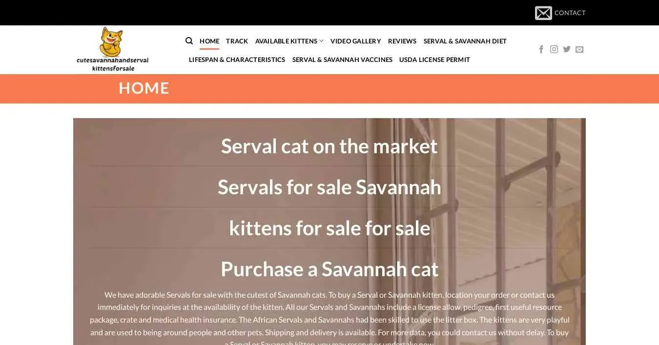 is cutesavannahandservalkittensforsale.com legit? screenshot