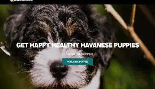 A screenshot of Genlanfamilystbernard.com
