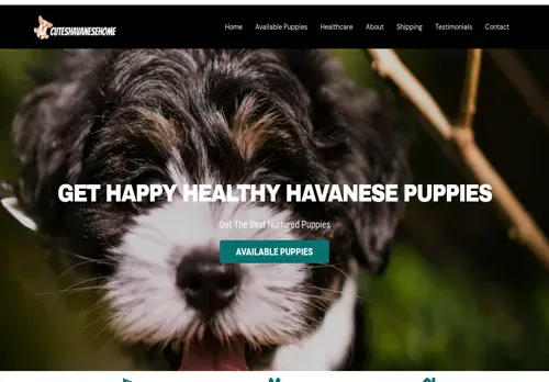 is cuteshavanesehome.com legit? screenshot