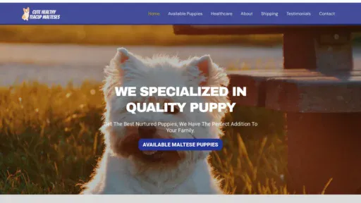 A screenshot of Cuteteacupmaltespups.com