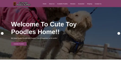 A screenshot of Cutetoypoodleshome.com