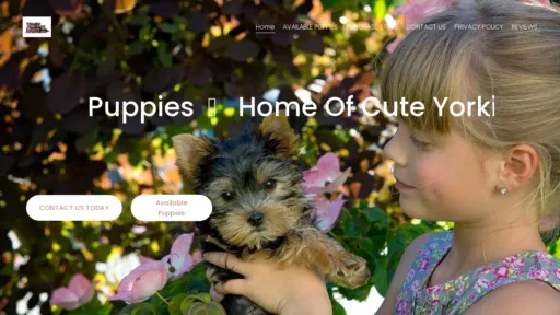 A screenshot of Cuteyorshirepuppies.com