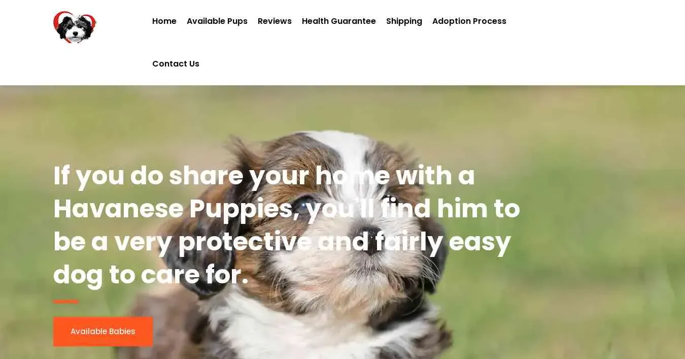 is cutyhavanese.us legit? screenshot