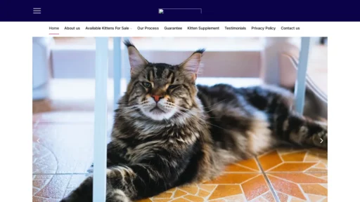 A screenshot of D-familypetsuae.com