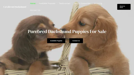 A screenshot of Dachshundcavalirom.com