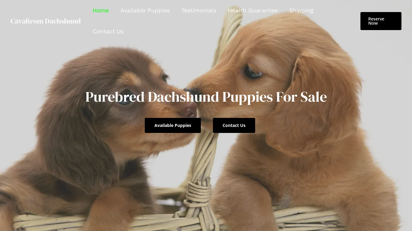is dachshundcavalirom.com legit? screenshot