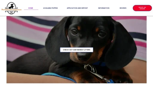 A screenshot of Dachshundcompanions.com