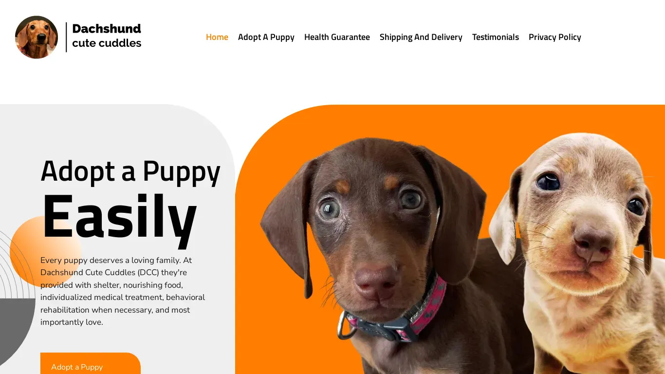is dachshundcutecuddles.com legit? screenshot