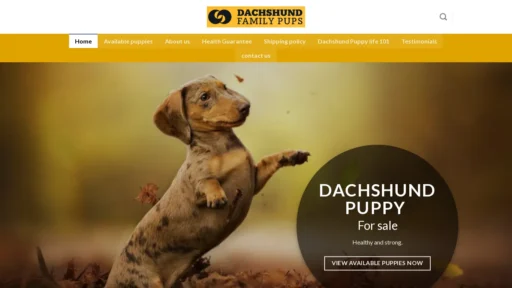 A screenshot of Dachshundfamilypups.com