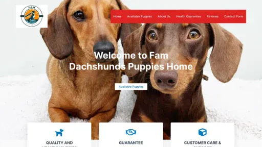 A screenshot of Dachshundfampuppies.com