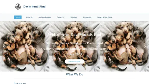 A screenshot of Dachshundfind.com