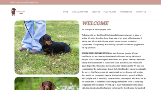 A screenshot of Dachshundflowerpatch.com