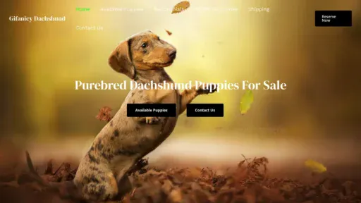 A screenshot of Dachshundgifanicy.com