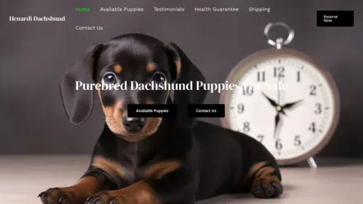 A screenshot of Dachshundhenardi.com
