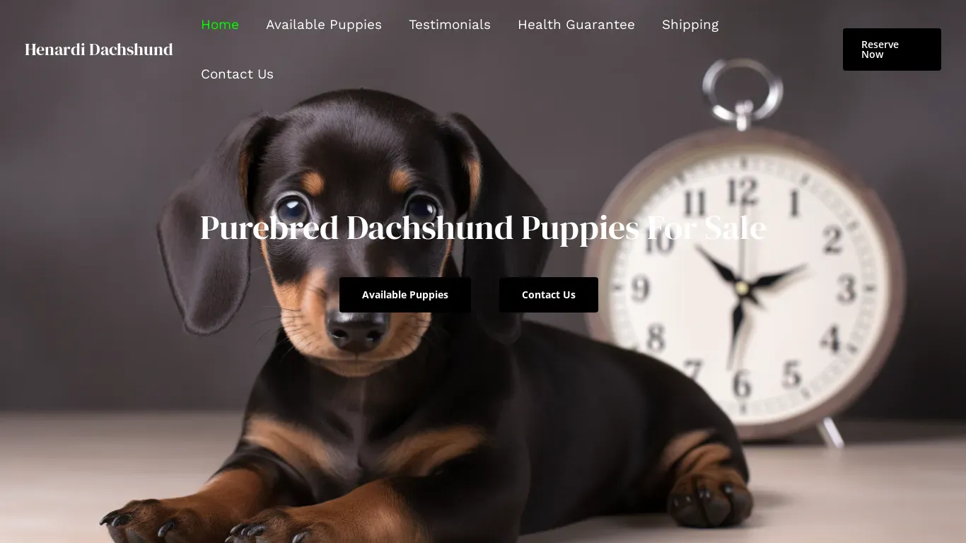 is dachshundhenardi.com legit? screenshot