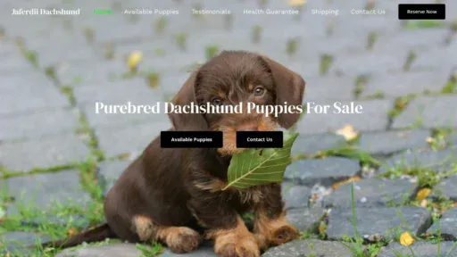 A screenshot of Dachshundjaferdii.com