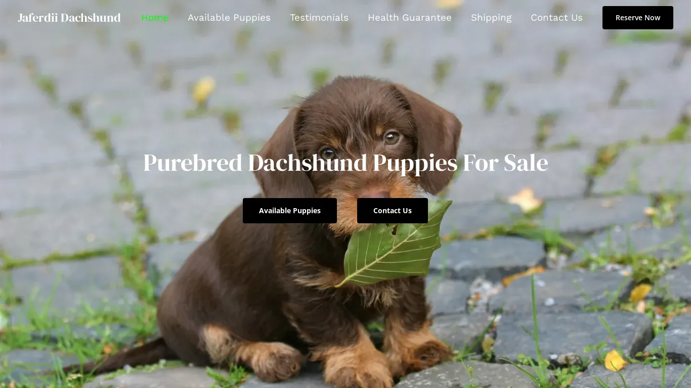 is dachshundjaferdii.com legit? screenshot