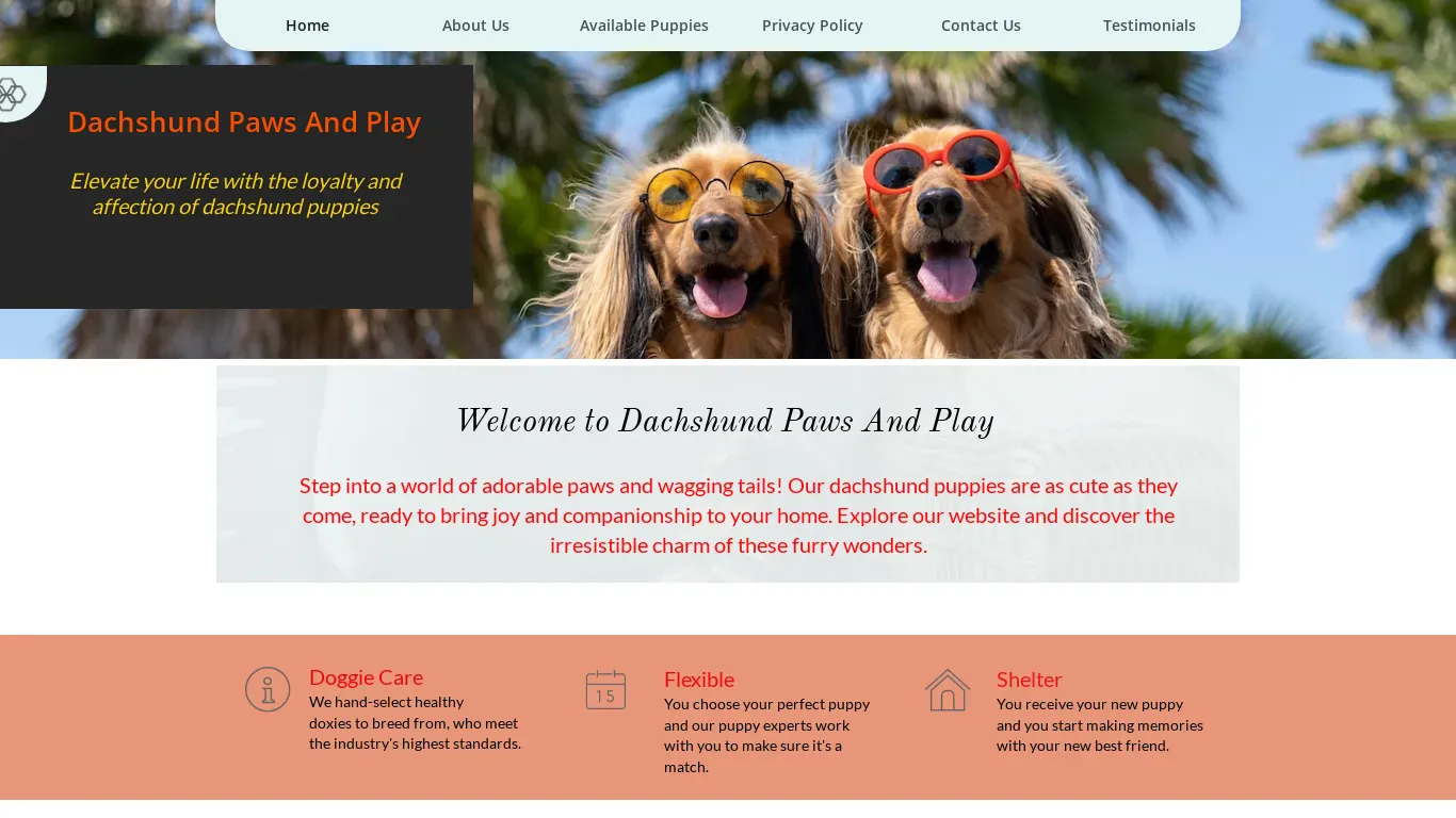 is Dachshund Paws and Play - Adorable Paws and Wagging Tails legit? screenshot